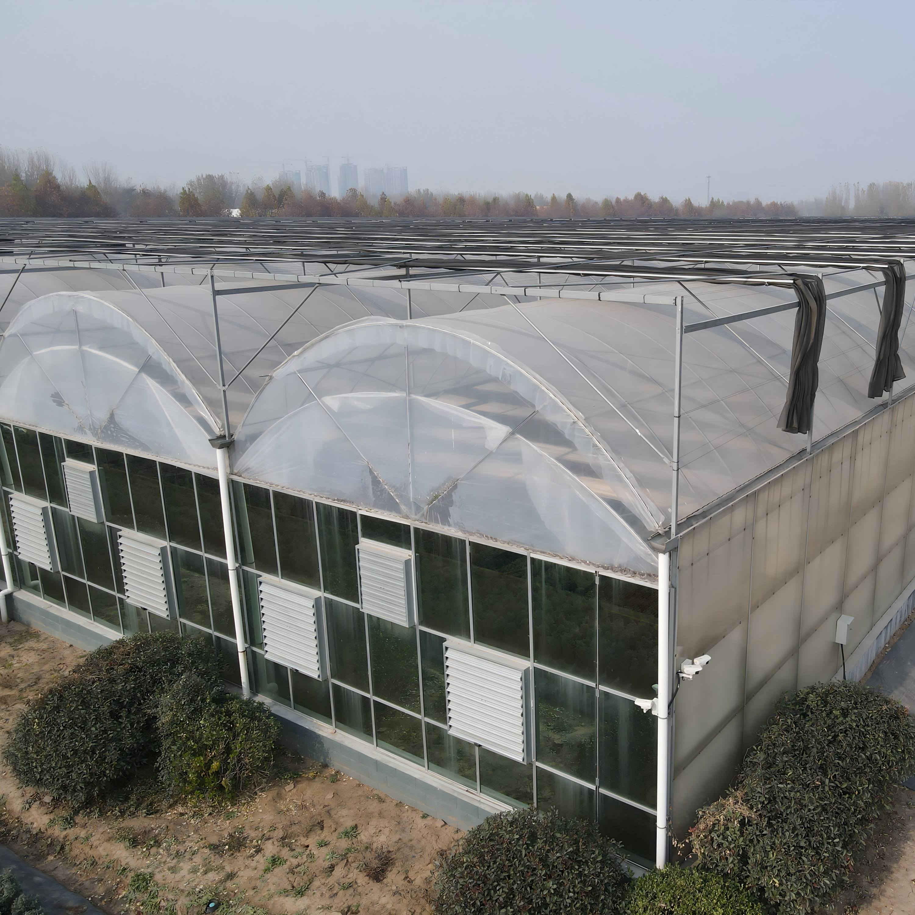 Multi-Span Greenhouse Structure Design